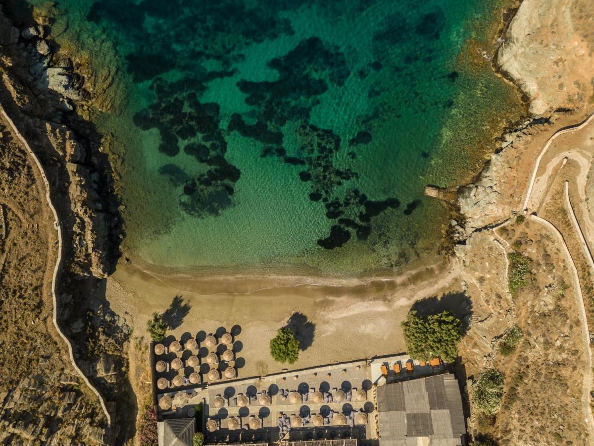 Aura Tinos